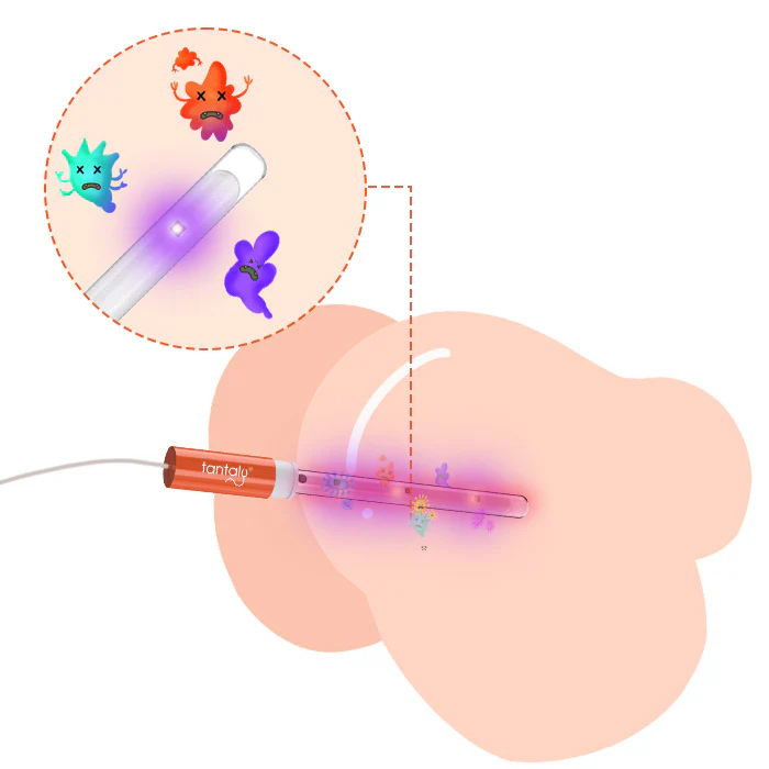 Tantaly UV Germicidal Heating Rod - Image 3